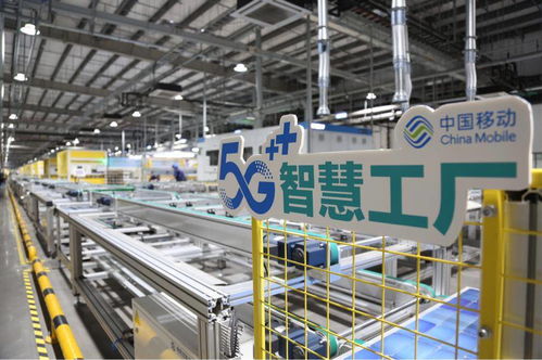 泰州5G智慧工廠落地，按下光伏制造業發展快進鍵