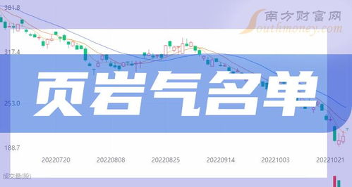 頁(yè)巖氣行業(yè)四大龍頭股盤點(diǎn)與投資分析